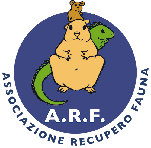 Associazione ARF