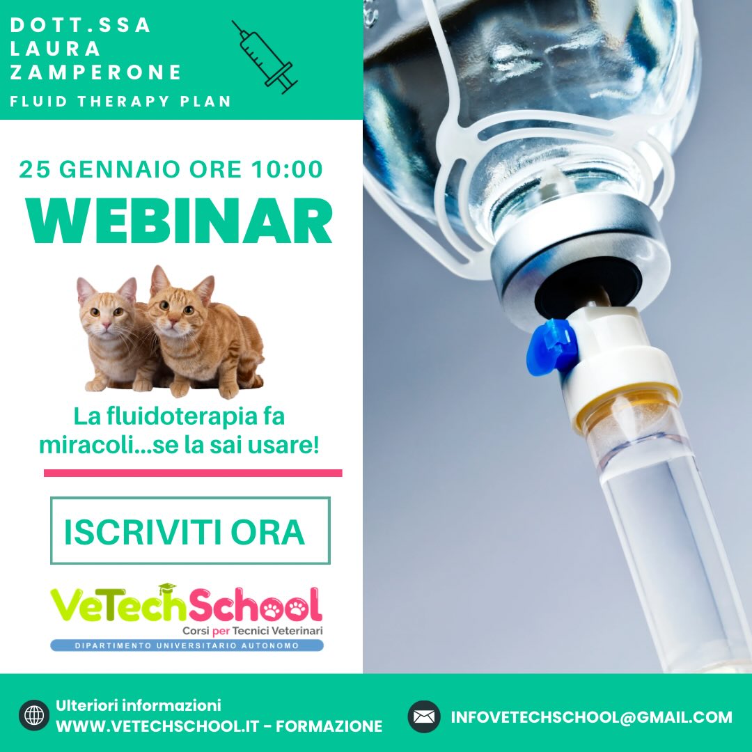 La fluidoterapia fa miracoli…se la sai usare!